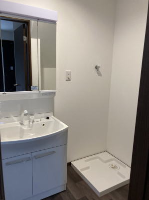 洗面台は三面鏡。鏡面裏にも収納がたっぷりありすっきりした空間に。